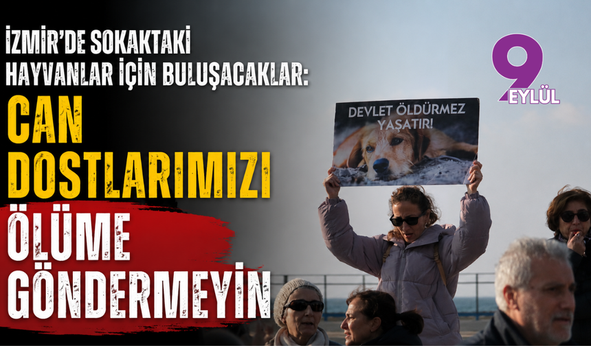 İzmir'de sokaktaki hayvanlar için buluşacaklar: Can dostlarımızı ölüme göndermeyin