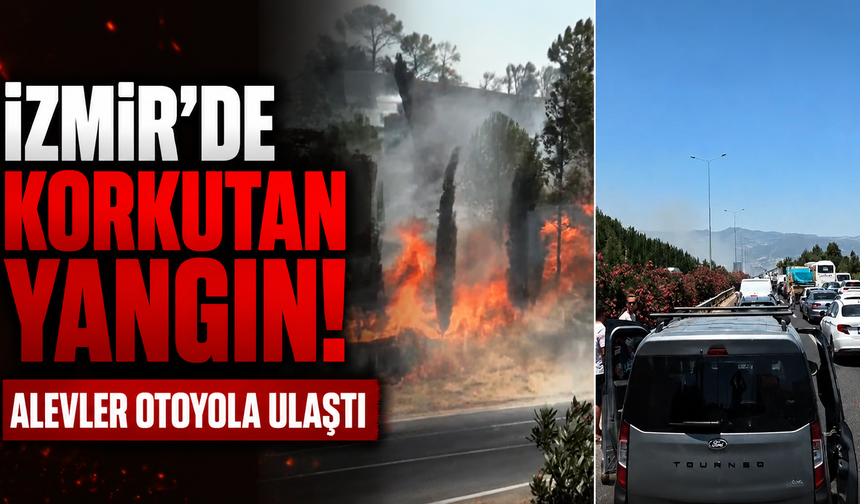 İzmir’de korkutan yangın: Alevler otoyola ulaştı