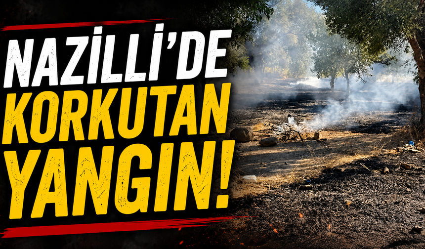 Nazilli'de korkutan yangın!
