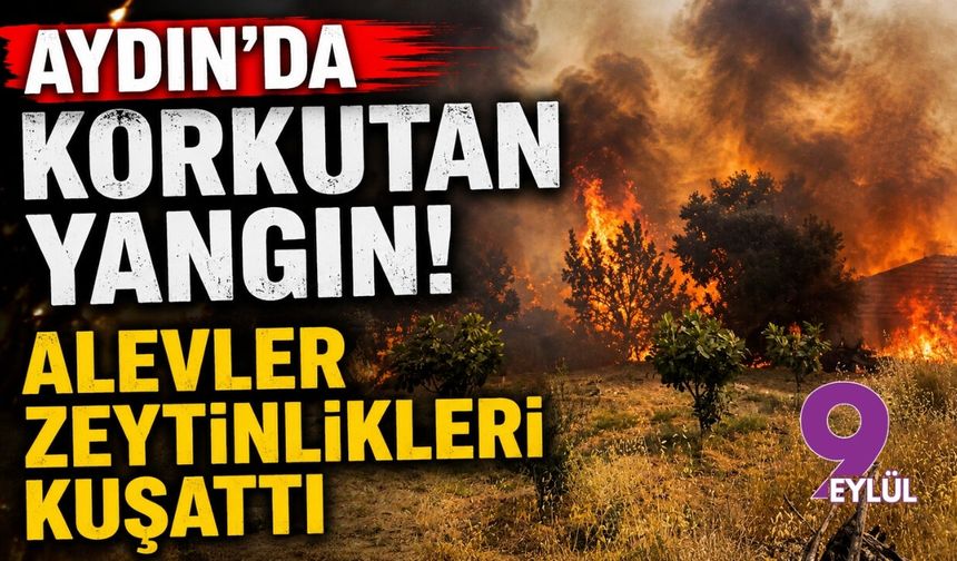 Aydın'da korkutan yangın!  Alevler  zeytinlikleri kuşattı