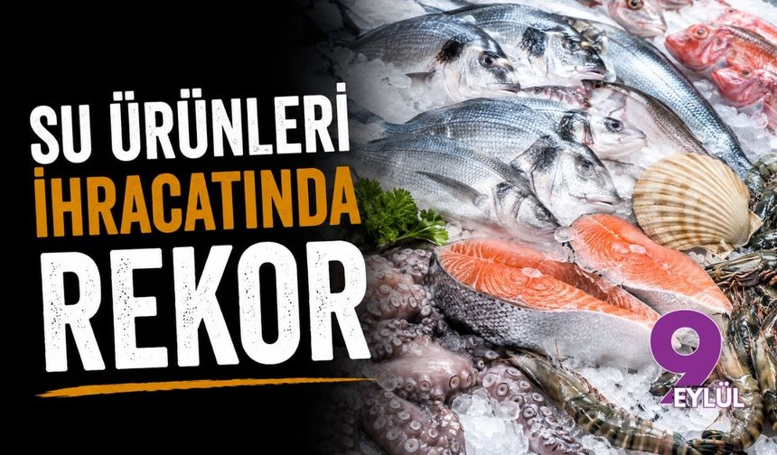 Denizden gelen rekor: Su ürünleri ihracatı ilk yarıda milyar dolar sınırını aştı