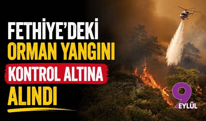 Fethiye'deki orman yangını kontrol altına alındı