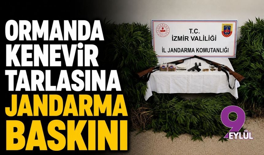 Ormanlık alana uyuşturucu ekmişler!