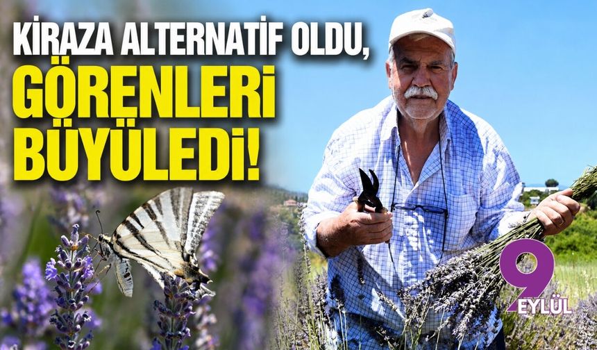Kiraza alternatif oldu, görenleri büyüledi!