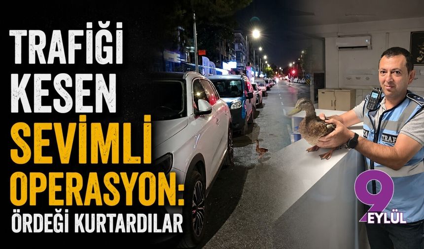 Trafiği kesen sevimli operasyon: Ördeği kurtardılar