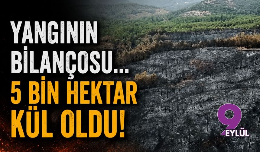 Muğla'da yangının bilançosu... 5 bin hektar kül oldu!