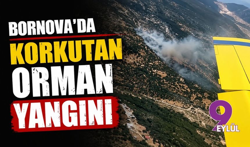 Bornova'da korkutan orman yangın