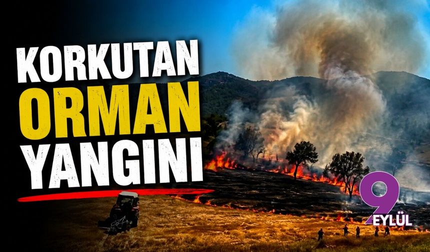 Balıkesir'de korkutan orman yangını!