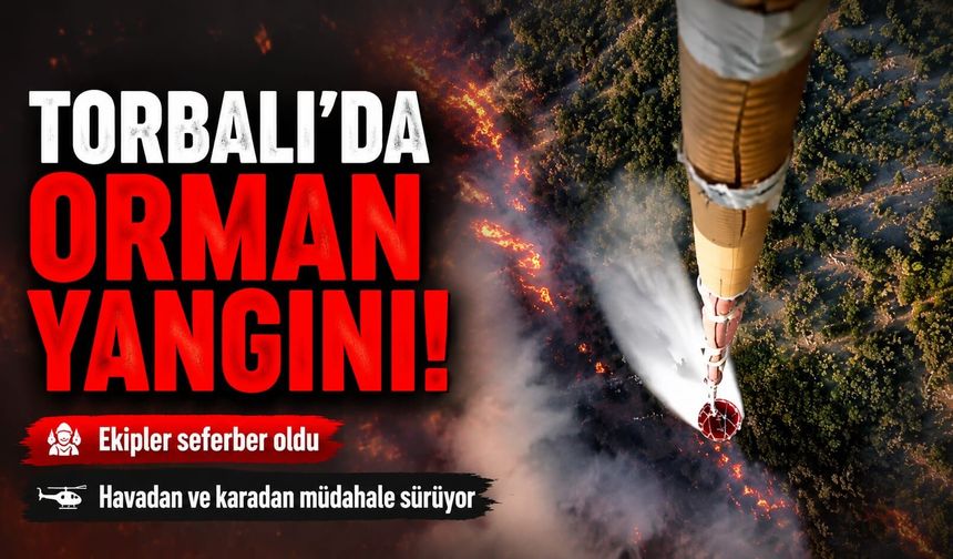 Torbalıda Orman Yangını!