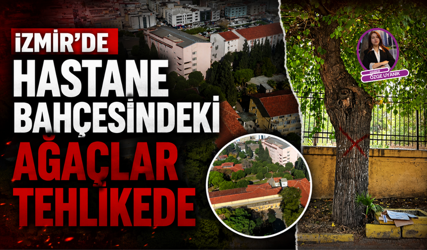 İzmir'de hastane bahçesindeki ağaçlar tehlikede
