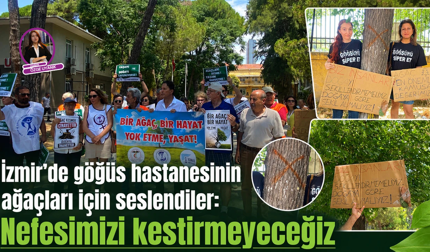 İzmir’de göğüs hastanesinin ağaçları için seslendiler: Nefesimizi kestirmeyeceğiz