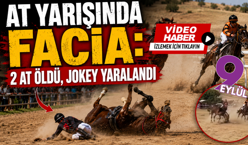 At yarışında facia: 2 at öldü, jokey yaralandı; O anlar kamerada