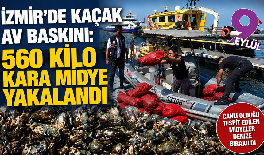 İzmir’de kaçak av baskını: 560 kilo kara midye yakalandı