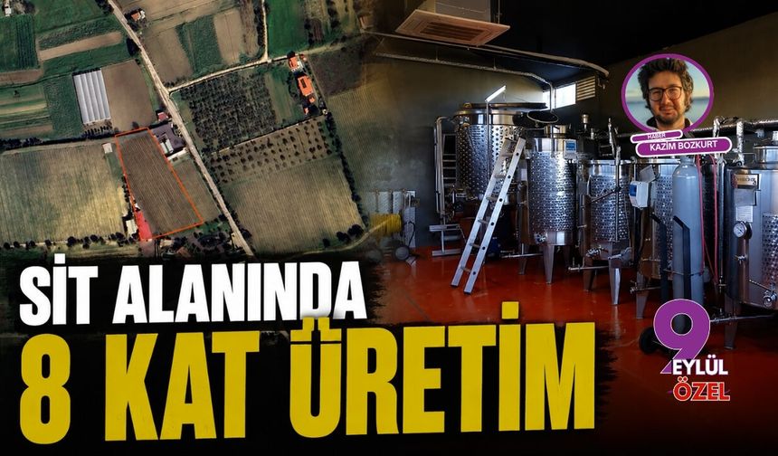 Sit alanında 8 kat üretim