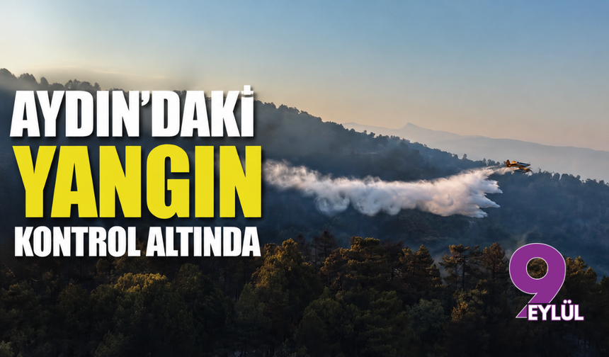 Aydın'daki yangın kontrol altında