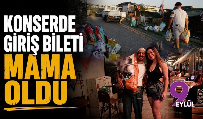 Konserde giriş bileti mama oldu: Yarım ton topladılar