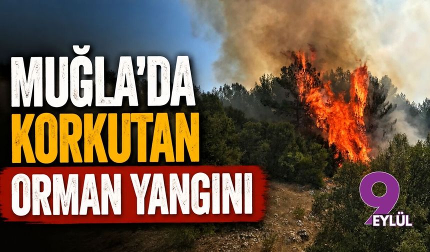 Muğla'da korkutan orman yangını