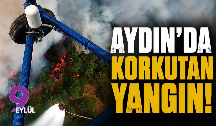 Aydın'da korkutan yangın!
