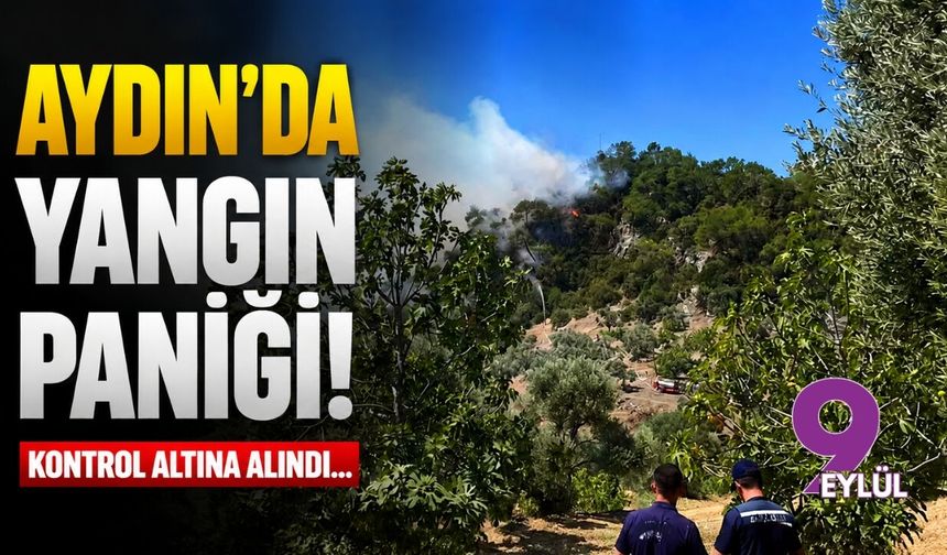 Aydın'da yangın paniği! Kontrol altına alındı...