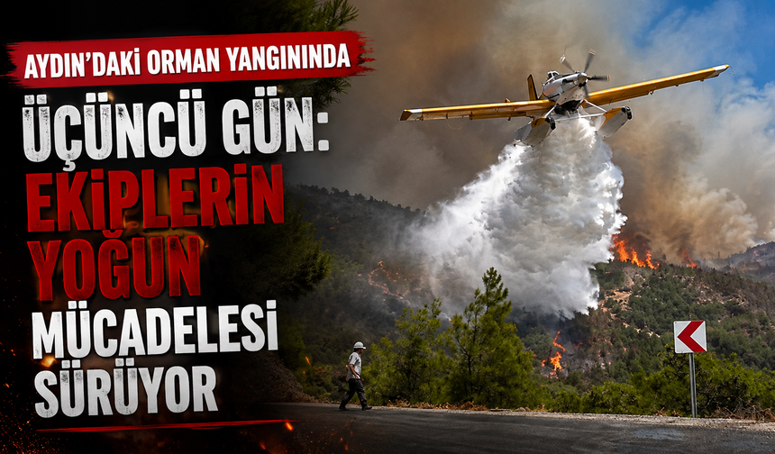 Aydın'daki orman yangınında üçüncü gün: Ekiplerin yoğun mücadelesi sürüyor