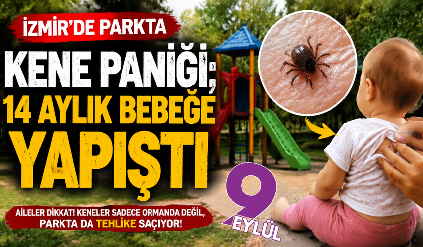 Tire’de parkta korkutan kene vakası: 14 aylık bebeğe yapıştı