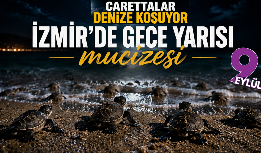 İzmir kıyılarında caretta alarmı