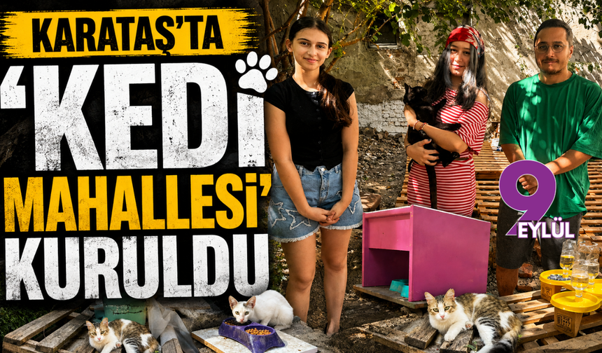 İzmir'de sokak hayvanları için 'Kedi Mahallesi' projesi