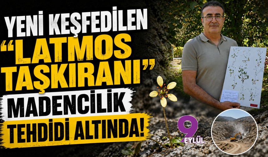 Yeni keşfedilen "Latmos Taşkıranı" madencilik tehdidi altında