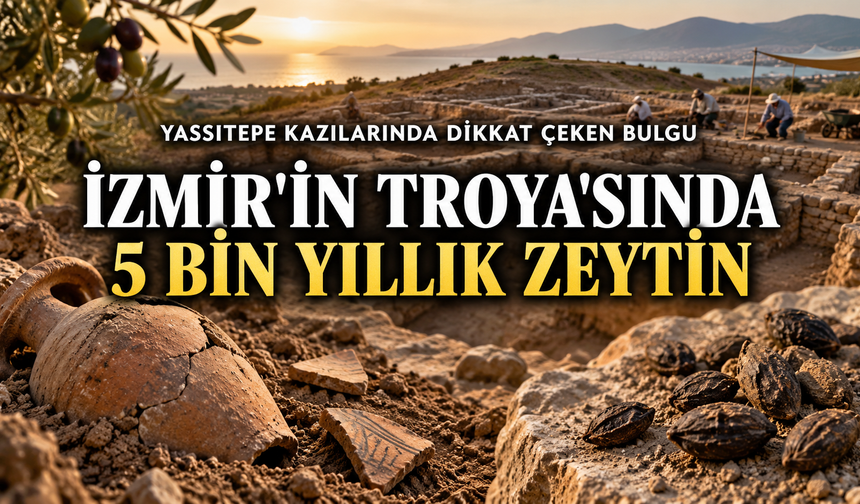 İzmir’in Troya’sında 5 bin yıllık zeytin