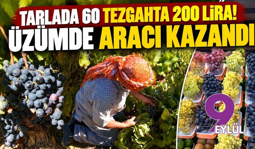 Tarlada 60 tezgahta 200 lira! Üzümde aracı kazandı