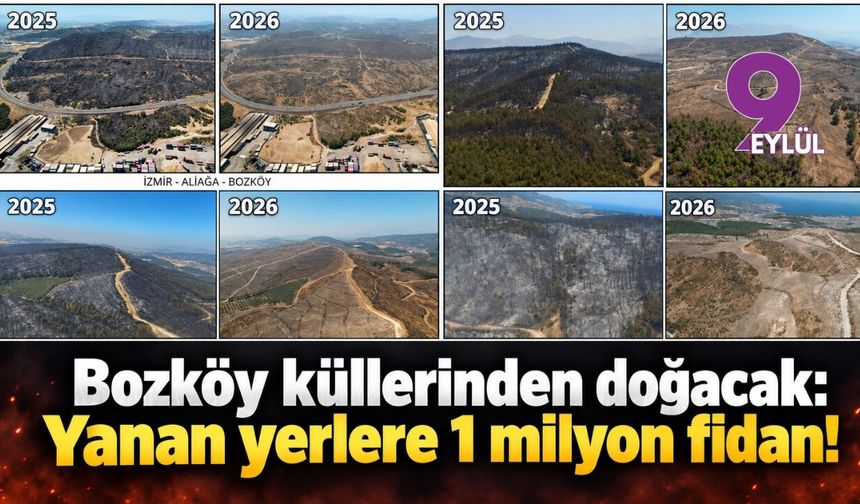 Bozköy küllerinden doğacak: Yanan yerlere 1 milyon fidan!