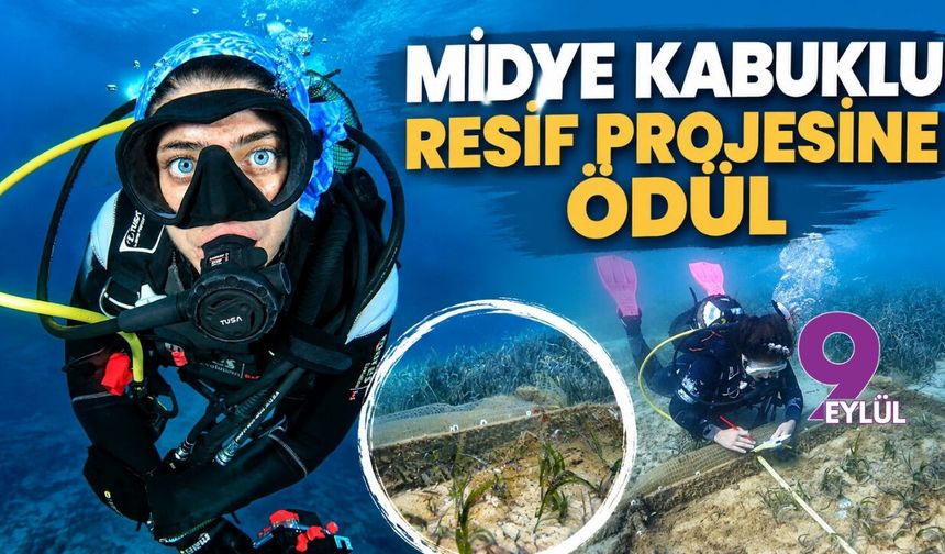 Midye kabuklu resif projesine ödül