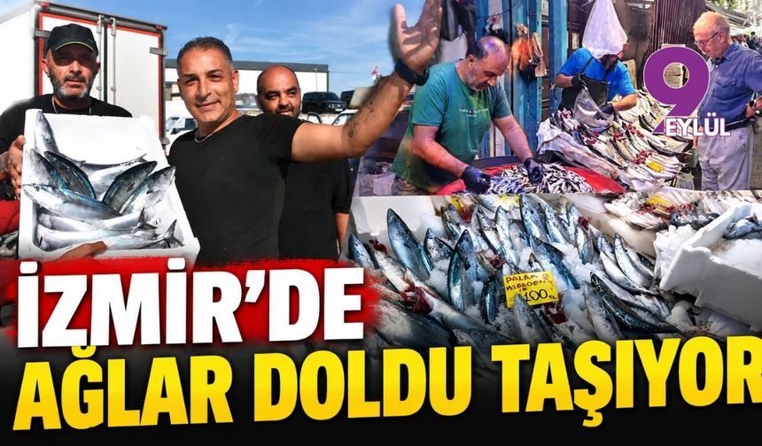 İzmir'de ağlar doldu taşıyor: Ege ve Karadeniz bereketiyle balık tezgahları şenlendi