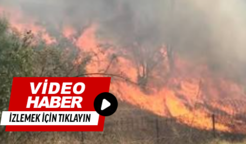 İzmir yolunda korkutan yangın!