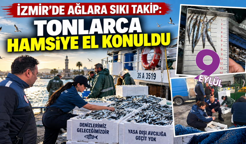 İzmir’de ağlara sıkı takip: Tonlarca hamsiye el konuldu