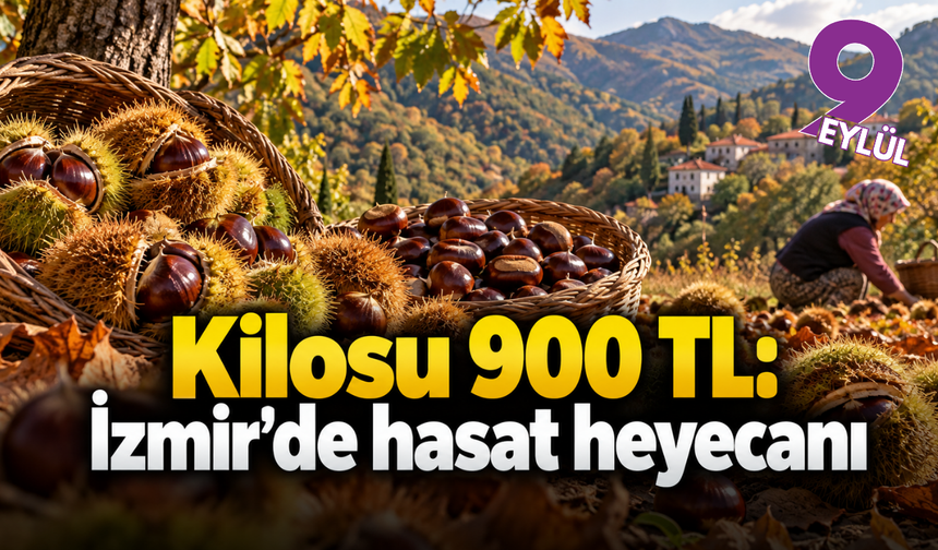 Kestanenin kilosu 900 liraya çıktı: Gözler İzmir ve Aydın'da