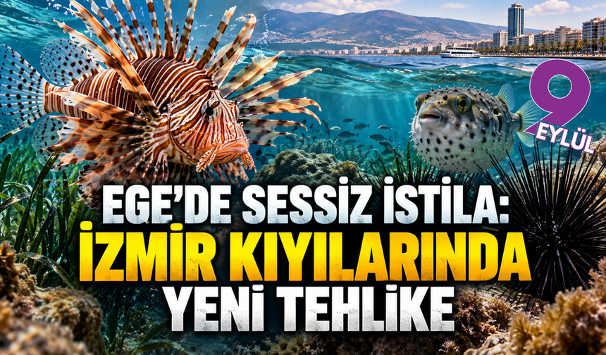 Ege'de sessiz istila: İzmir kıyılarında yeni tehlike