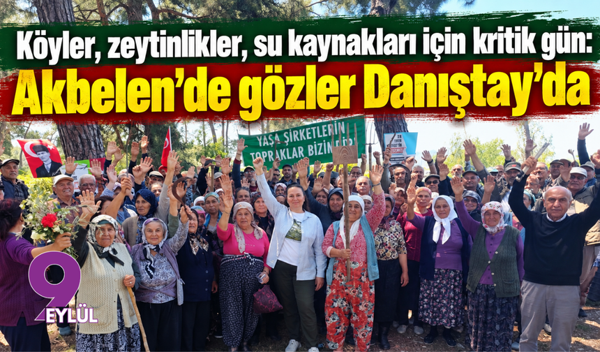 Köyler, zeytinlikler, su kaynakları için kritik gün: Akbelen'de gözler Danıştay’da