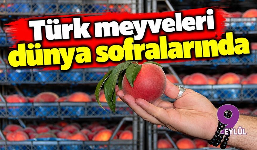 Türk meyveleri dünya sofralarında