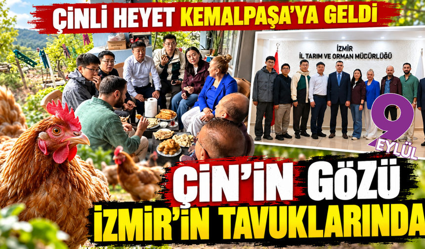 Çin'den İzmir'e tavukçuluk çıkarması!