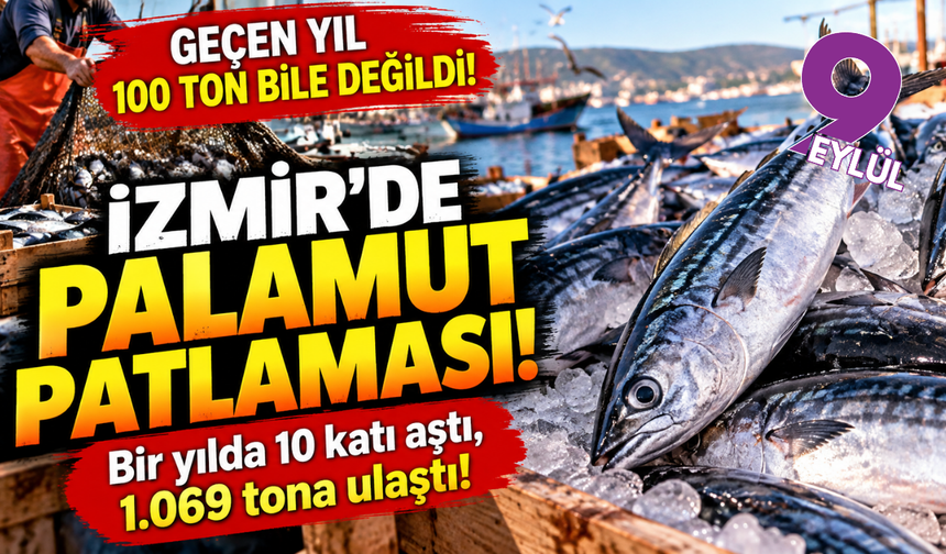 İzmir'de palamut patlaması: 10 katı aştı!