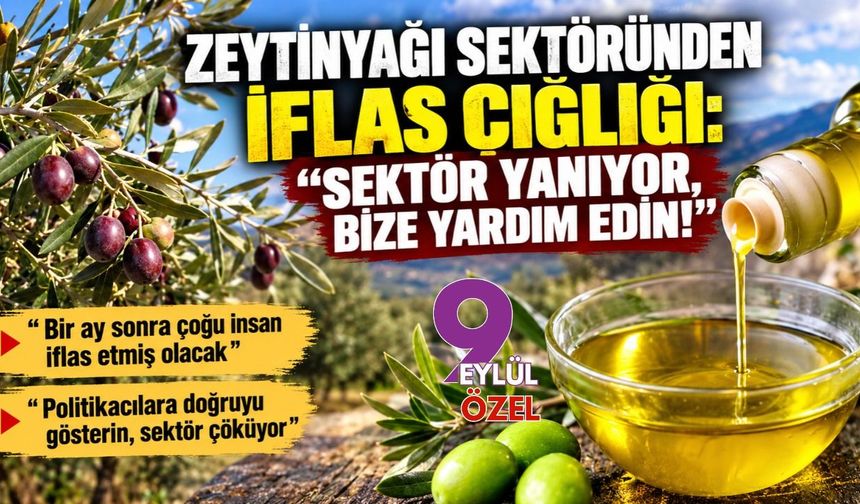 Zeytinyağı sektöründen iflas çığlığı: “Sektör yanıyor, bize yardım edin!”