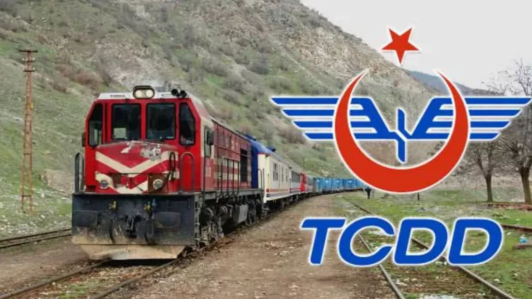 tcdd