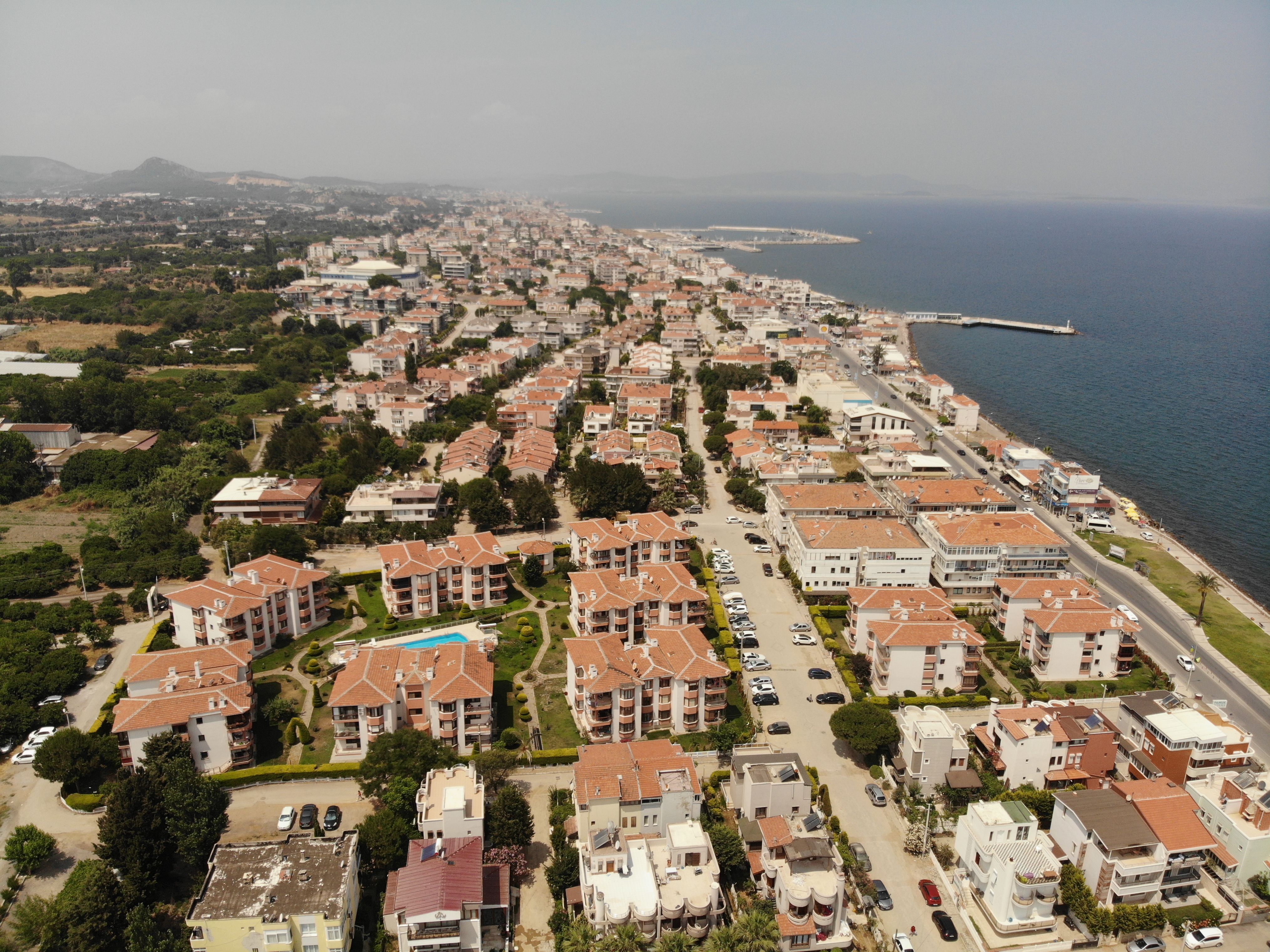 izmir-guzelbahcede-tarla-zeytinlik-mahkemeden-satiliktir