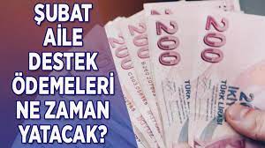 AİLE DESTEK ÖDEMESİ NE ZAMAN YATAR?