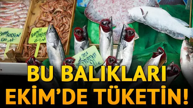 EKİM AYINDA HANGİ BALIK YENİR?