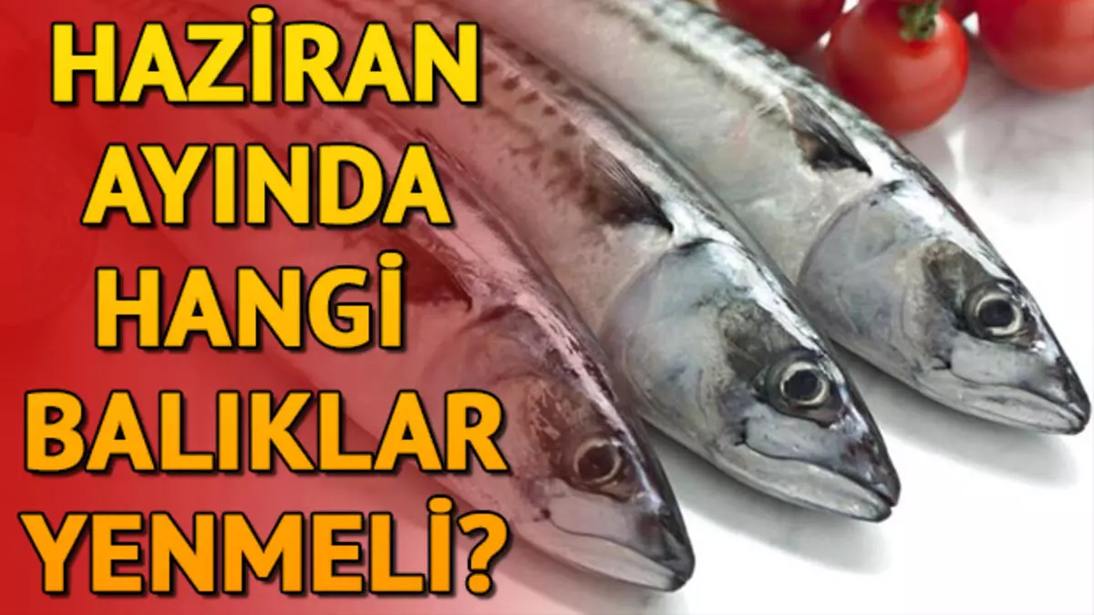 HAZİRAN AYINDA HANGİ BALIK YENİR?