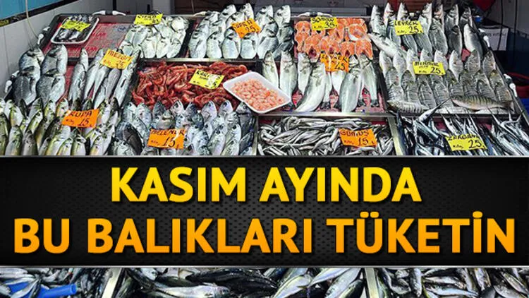 KASIM AYINDA HANGİ BALIK YENİR? 