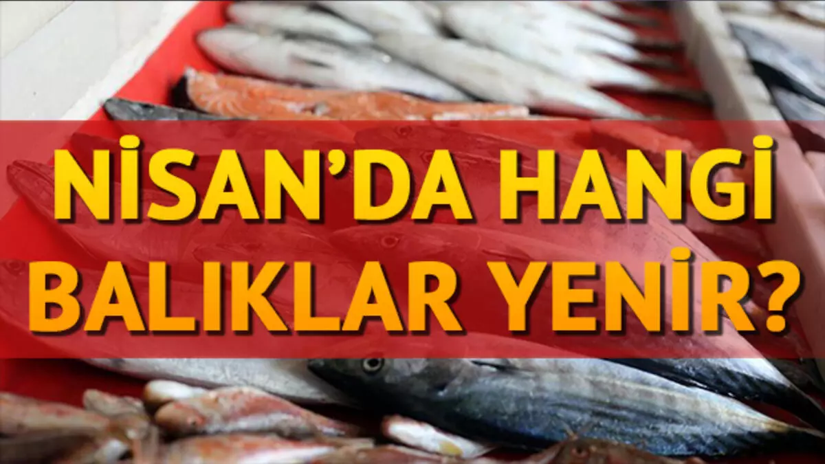 NİSAN AYINDA HANGİ BALIK YENİR?