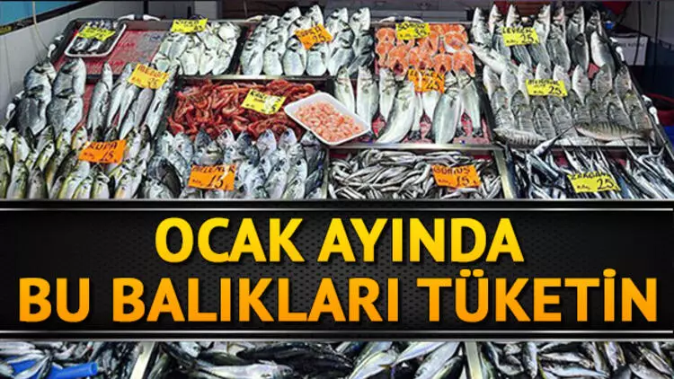 OCAK AYINDA HANGİ BALIK YENİR?